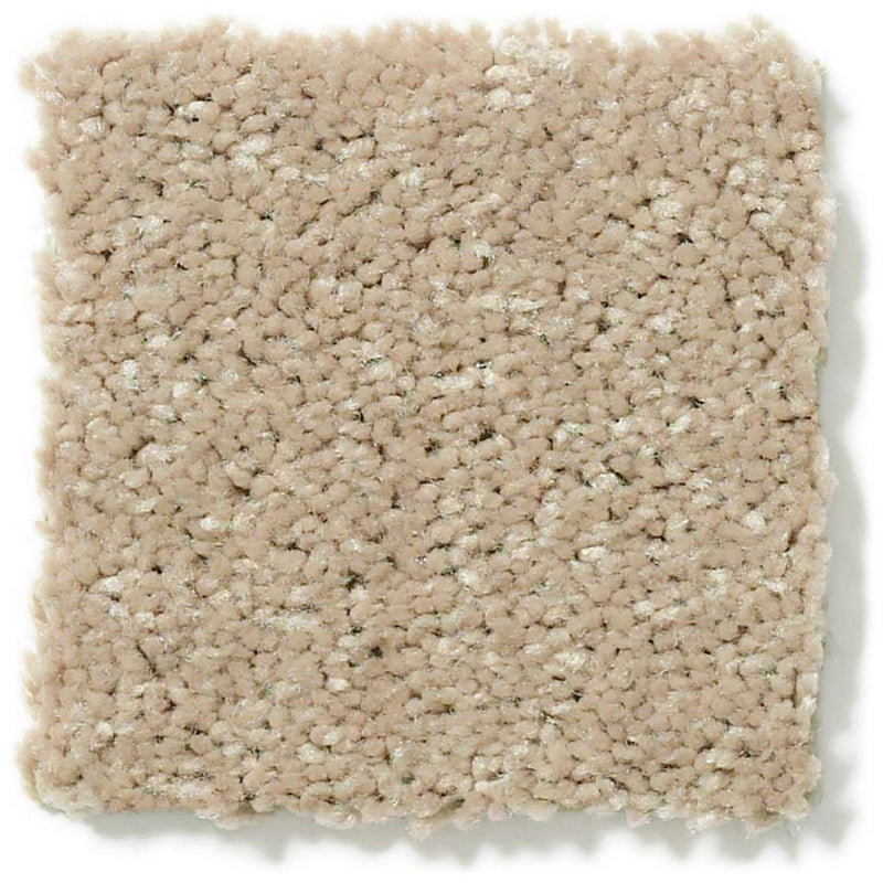 DYERSBURG CLASSIC 12' 100% Pet Polyester Carpet 12 ft. x Custom Length R2X® Built-in Stain & Soil Protection