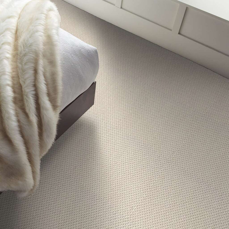 FAINT INTENT 100% Nylon Carpet 12 ft. x Custom Length R2X® Built-in Stain & Soil Protection