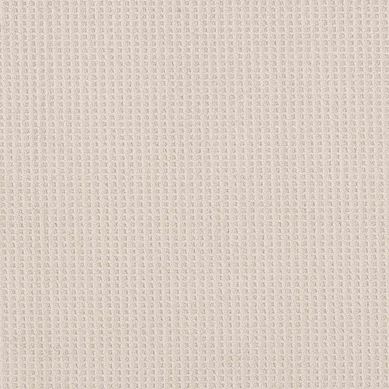 FAINT INTENT 100% Nylon Carpet 12 ft. x Custom Length R2X® Built-in Stain & Soil Protection