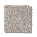 TRANSLATE 100% SD PET Polyester Carpet 12 ft. x Custom Length