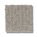 TRANSFORM 100% SD PET Polyester Carpet 12 ft. x Custom Length