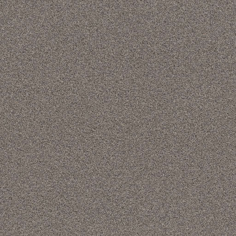 INFLUENCER 100% High Performance PET Carpet 12 ft. x Custom Length