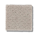 MAINSTAY 100% Nylon Carpet 12 ft. x Custom Length R2X® Built-in Stain & Soil Protection