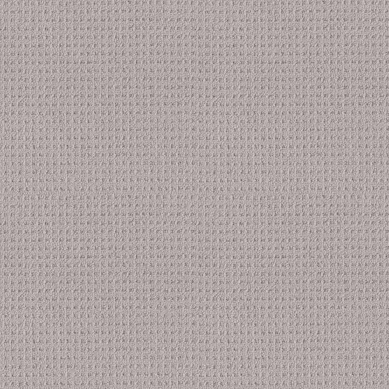 FRAMED VIEW 100% SD PET Polyester Carpet 12 ft. x Custom Length R2X® Built-in Stain & Soil Protection