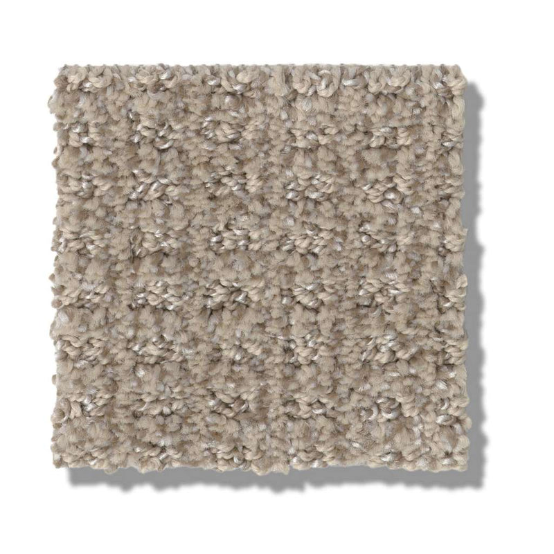 STAY FIT 100% SD PET Polyester Carpet 12 ft. x Custom Length