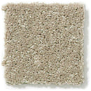 DYERSBURG CLASSIC 12' 100% Pet Polyester Carpet 12 ft. x Custom Length R2X® Built-in Stain & Soil Protection