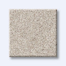 HARMONIOUS I 100% Nylon Carpet 12 ft. x Custom Length R2X® Built-in Stain & Soil Protection