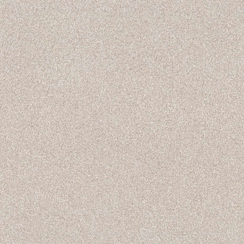 INFLUENCER 100% High Performance PET Carpet 12 ft. x Custom Length