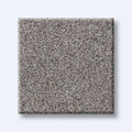 HARMONIOUS III 100% Nylon Carpet 12 ft. x Custom Length R2X® Built-in Stain & Soil Protection