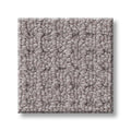 FAINT INTENT 100% Nylon Carpet 12 ft. x Custom Length R2X® Built-in Stain & Soil Protection