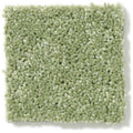DYERSBURG CLASSIC 12' 100% Pet Polyester Carpet 12 ft. x Custom Length R2X® Built-in Stain & Soil Protection