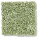 DYERSBURG CLASSIC 12' 100% Pet Polyester Carpet 12 ft. x Custom Length R2X® Built-in Stain & Soil Protection