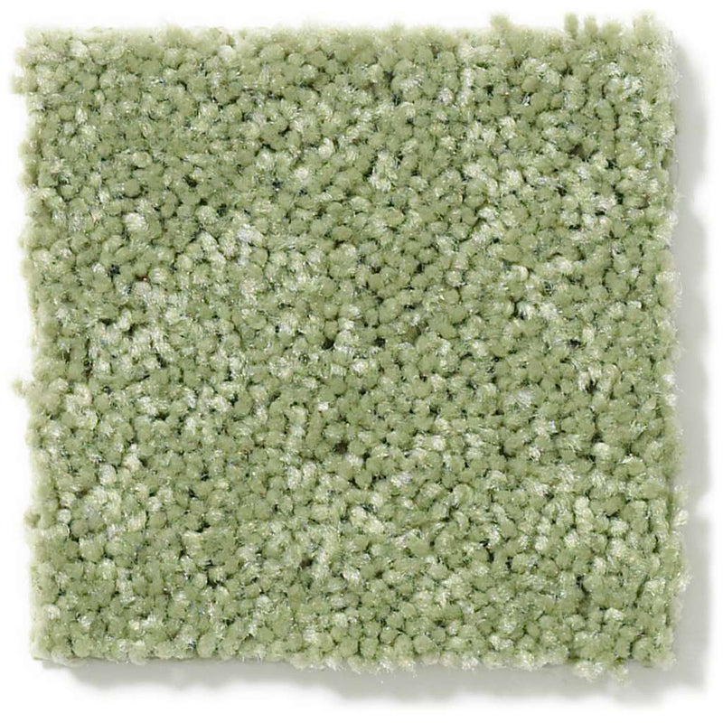 DYERSBURG CLASSIC 12' 100% Pet Polyester Carpet 12 ft. x Custom Length R2X® Built-in Stain & Soil Protection