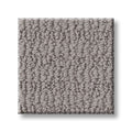 CHIC ELEVATION 100% High Performance PET Carpet 12 ft. x Custom Length