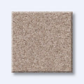 HARMONIOUS I 100% Nylon Carpet 12 ft. x Custom Length R2X® Built-in Stain & Soil Protection