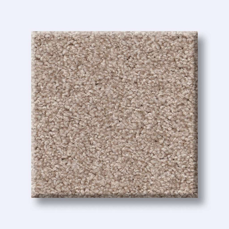 HARMONIOUS I 100% Nylon Carpet 12 ft. x Custom Length R2X® Built-in Stain & Soil Protection
