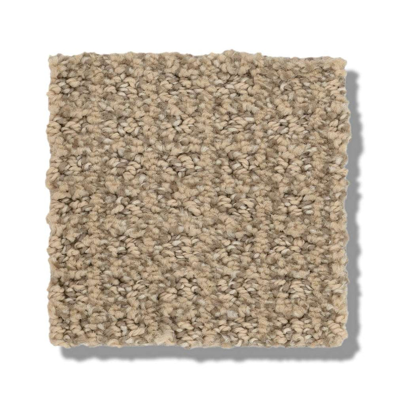 STAY FIT 100% SD PET Polyester Carpet 12 ft. x Custom Length