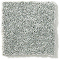 DYERSBURG CLASSIC 12' 100% Pet Polyester Carpet 12 ft. x Custom Length R2X® Built-in Stain & Soil Protection