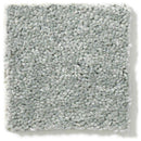 DYERSBURG CLASSIC 12' 100% Pet Polyester Carpet 12 ft. x Custom Length R2X® Built-in Stain & Soil Protection
