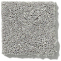 NEWBERN CLASSIC 12' 100% Pet Polyester Carpet 12 ft. x Custom Length R2X® Built-in Stain & Soil Protection