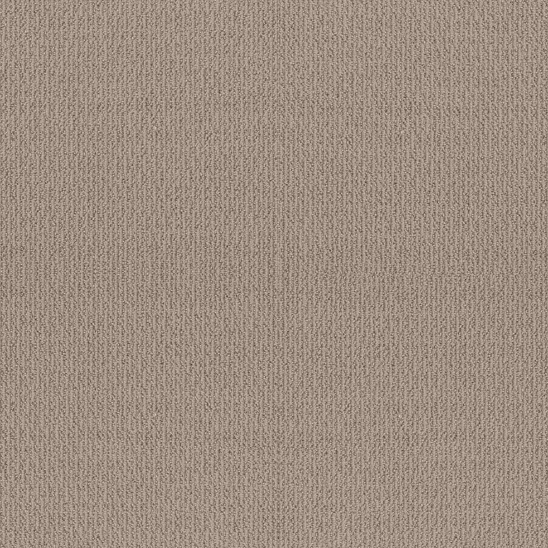 ICONIC WAY 100% SD PET Polyester Carpet 12 ft. x Custom Length R2X® Built-in Stain & Soil Protection