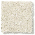 DYERSBURG CLASSIC 12' 100% Pet Polyester Carpet 12 ft. x Custom Length R2X® Built-in Stain & Soil Protection