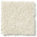 DYERSBURG CLASSIC 12' 100% Pet Polyester Carpet 12 ft. x Custom Length R2X® Built-in Stain & Soil Protection