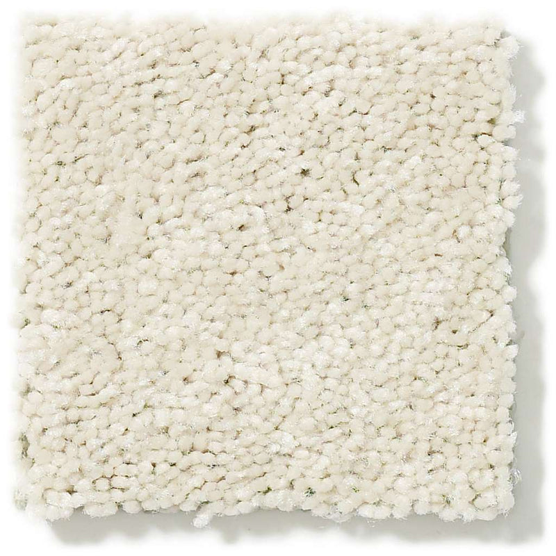 DYERSBURG CLASSIC 12' 100% Pet Polyester Carpet 12 ft. x Custom Length R2X® Built-in Stain & Soil Protection