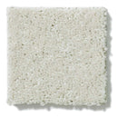 NEWBERN CLASSIC 12' 100% Pet Polyester Carpet 12 ft. x Custom Length R2X® Built-in Stain & Soil Protection