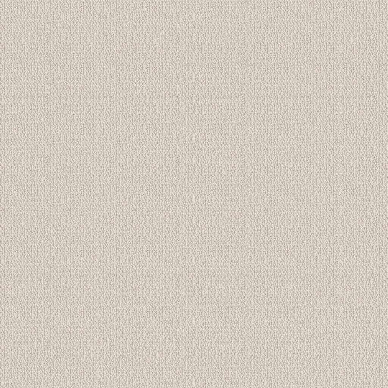 LOOP DE LOOP 100% SD PET Polyester Carpet 12 ft. x Custom Length