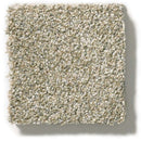 MONTAGE II 100% BCF Cleartouch PET Polyester Carpet 12 ft. x Custom Length R2X® Built-in Stain & Soil Protection