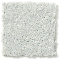 DYERSBURG CLASSIC 12' 100% Pet Polyester Carpet 12 ft. x Custom Length R2X® Built-in Stain & Soil Protection