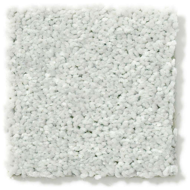 DYERSBURG CLASSIC 12' 100% Pet Polyester Carpet 12 ft. x Custom Length R2X® Built-in Stain & Soil Protection
