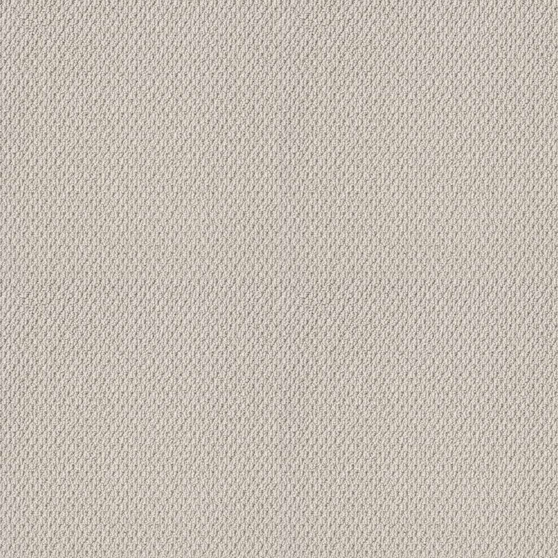 NATURALISTIC 100% Nylon Carpet 12 ft. x Custom Length R2X® Built-in Stain & Soil Protection