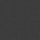 NEWBERN CLASSIC 12' 100% Pet Polyester Carpet 12 ft. x Custom Length R2X® Built-in Stain & Soil Protection