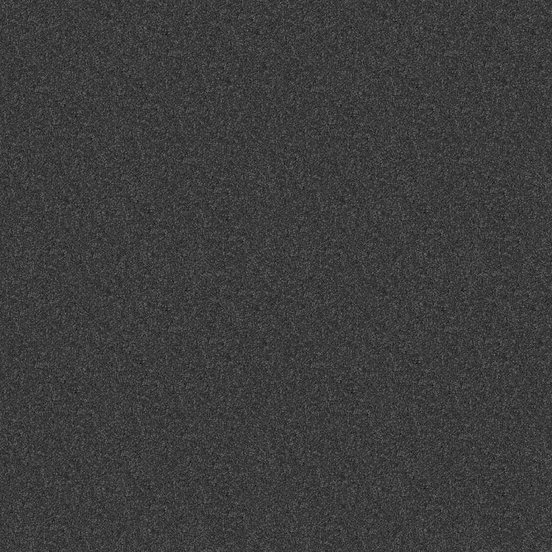 NEWBERN CLASSIC 12' 100% Pet Polyester Carpet 12 ft. x Custom Length R2X® Built-in Stain & Soil Protection