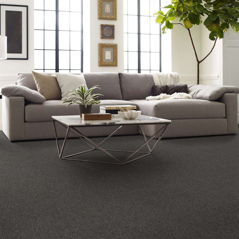 OF COURSE WE CAN I 12' 100% Pet Polyester Carpet 12 ft. x Custom Length R2X® Built-in Stain & Soil Protection
