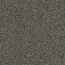 OF COURSE WE CAN I 12' 100% Pet Polyester Carpet 12 ft. x Custom Length R2X® Built-in Stain & Soil Protection