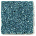 DYERSBURG CLASSIC 12' 100% Pet Polyester Carpet 12 ft. x Custom Length R2X® Built-in Stain & Soil Protection