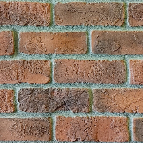 "Parkside 102" - Old Brick Veneer