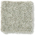 DYERSBURG CLASSIC 12' 100% Pet Polyester Carpet 12 ft. x Custom Length R2X® Built-in Stain & Soil Protection