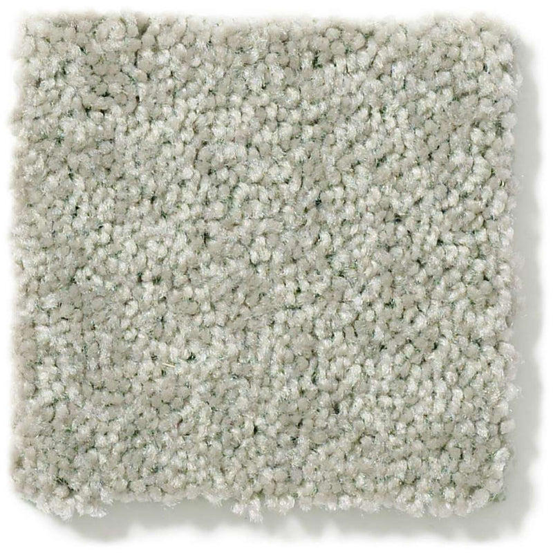 DYERSBURG CLASSIC 12' 100% Pet Polyester Carpet 12 ft. x Custom Length R2X® Built-in Stain & Soil Protection