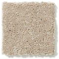DYERSBURG CLASSIC 12' 100% Pet Polyester Carpet 12 ft. x Custom Length R2X® Built-in Stain & Soil Protection