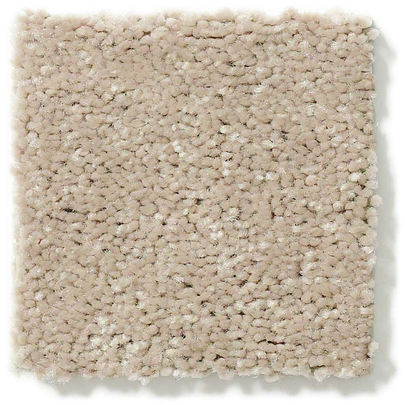 DYERSBURG CLASSIC 12' 100% Pet Polyester Carpet 12 ft. x Custom Length R2X® Built-in Stain & Soil Protection