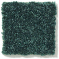 DYERSBURG CLASSIC 12' 100% Pet Polyester Carpet 12 ft. x Custom Length R2X® Built-in Stain & Soil Protection