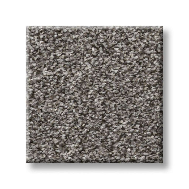 TRUSPIRIT I 100% SD PET Polyester Carpet 12 ft. x Custom Length