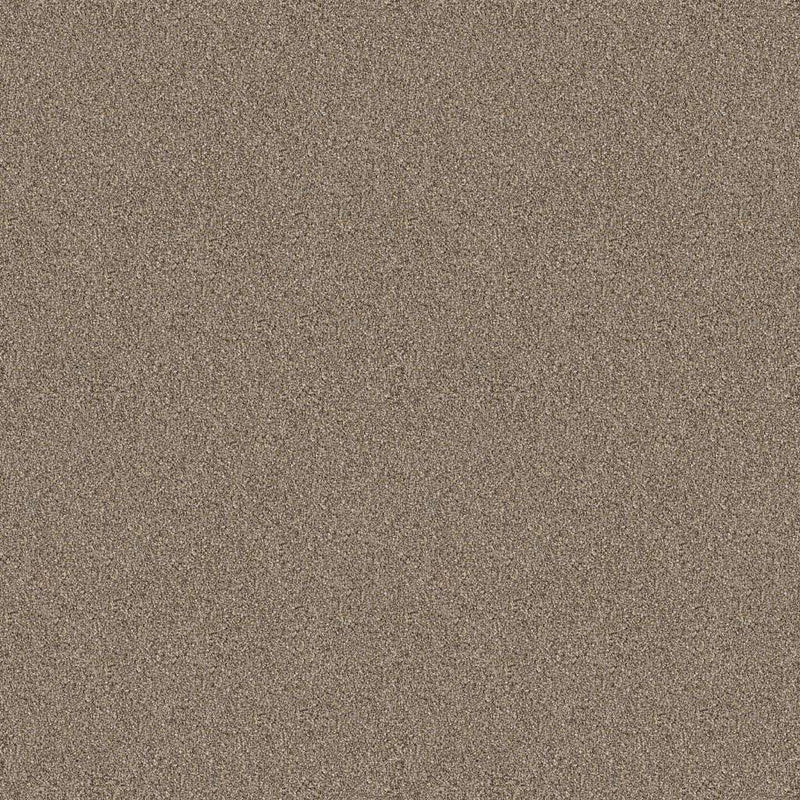 INFLUENCER 100% High Performance PET Carpet 12 ft. x Custom Length