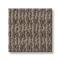 CHIC ELEVATION 100% High Performance PET Carpet 12 ft. x Custom Length