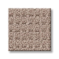 FAINT INTENT 100% Nylon Carpet 12 ft. x Custom Length R2X® Built-in Stain & Soil Protection