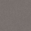 INFLUENCER 100% High Performance PET Carpet 12 ft. x Custom Length